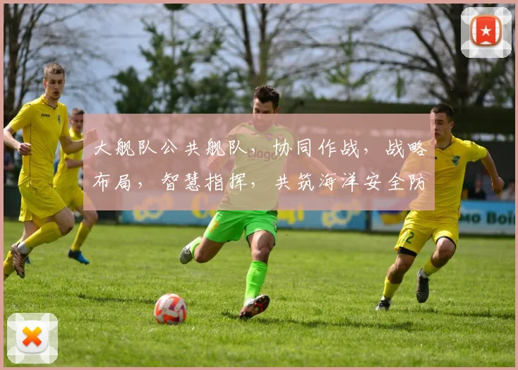 大舰队公共舰队，协同作战，战略布局，智慧指挥，共筑海洋安全防线